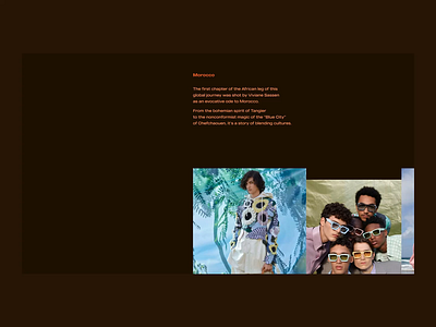 Promo site concept for Louis Vuitton | Photo Gallery animation design interface landing page promo site ui ux web website