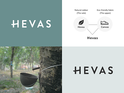 HEVAS Branding | Sustainable Sneaker Ecommerce Store