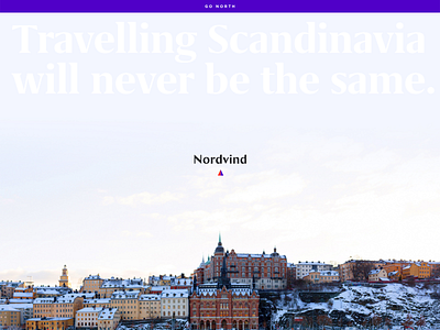 Daily UI #003 Landing Page landing page logo minimal north purple scandinavia travel