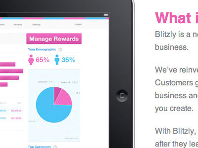Blitzly Merchant Dashboard blitzly blue charts demographics piechart pink rewards striped lines what is