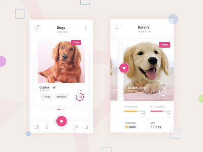 Pet App Design Concept