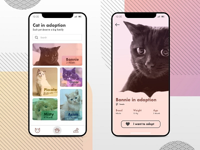 Cat Adoption App animation app branding chat dashboard design dribbble icon illustration ios minimal mobile task type typography ui ui ux ux ux design vector