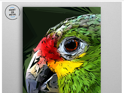 Parrots carnivores graphic design parrots