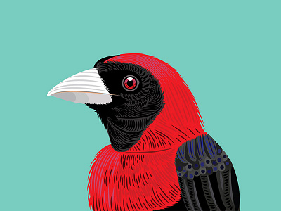 Crimson Collared Tanager bird bird protrait black central america crimson illustration red tanager vector wild bird