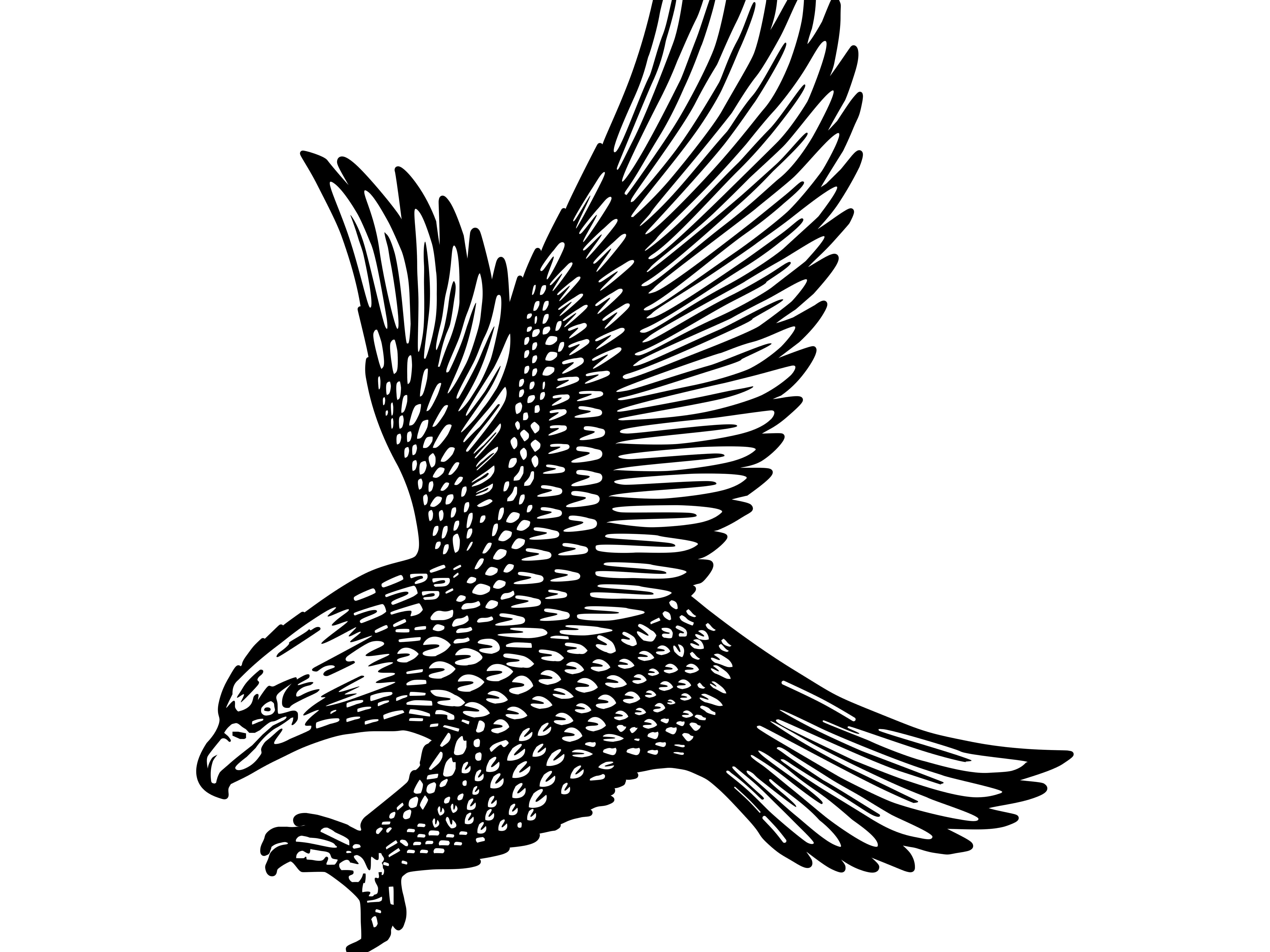 Eagle Logo Black and White | Polar Vectors