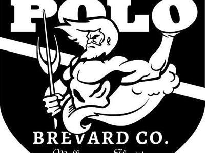 Water Polo Brevard Co. aquaman ceed creative hero illustration logo phillip maddox poseidon sports triton water water polo