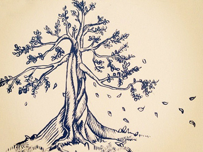 Bonsai Tree bonsai ceed creative fall illustration ink phillip maddox sketch tree