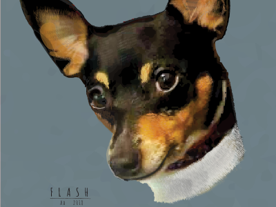 Flash dog doggie flash illustration illustrator portrait