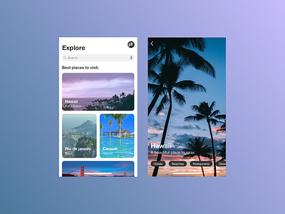 Explore new places animation app branding brazil hawaii illustration logo mexico minimal places ui ux design ux ux design vacations