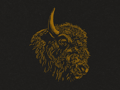 Bison Spot Illustration bison buffalo cabin design fort worth illustration illustrator roughened spot illustration texture