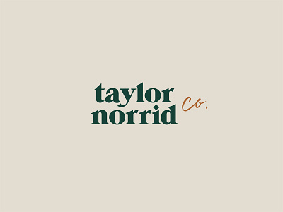 Taylor Norrid Logo branding design fort worth hair stylist illustrator logo logo design salon stylist type typography