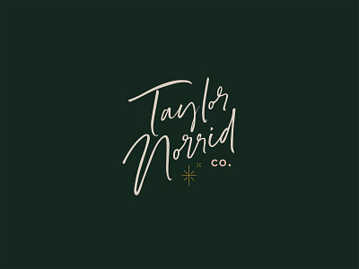 Taylor Norrid Script Logo branding design fort worth hair stylist illustrator logo logo design salon stylist type typography