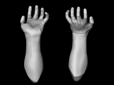 3d hand study