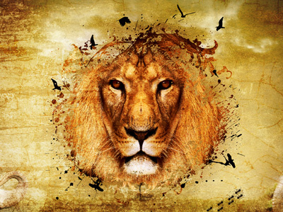 Lion art lion