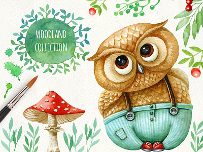 Shy Owlet character clipart owl owlet watercolor