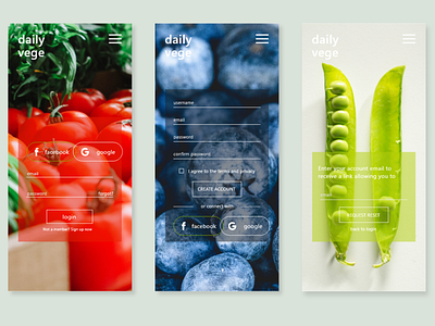 Daily UI 001 Sign Up