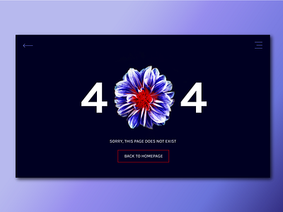 404 Page - Daily UI 008