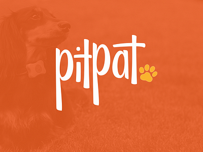Pitpat Logo branding custom type hand lettering identity lettering logo type typography