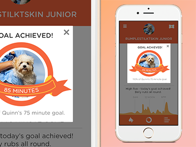 PitPat App - Goal Achieved Pop Up