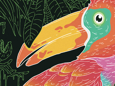 Ice Cream Bird bird colourful exotic illustration jungle rainforest toucan tropical