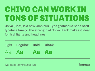 Chivo - Sans Serif Google Font design font pair font pairing fontpair fonts googlefonts typeface typography