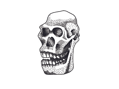 Australopithecus australopithecus illustration stipple