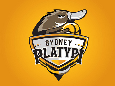 Sydney Platypi Basketball Team