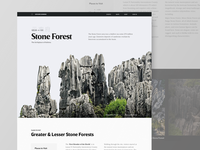 Stone Forest