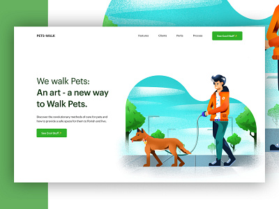 walk pets design illustration interface design ios productdesign screen design ui ui ux ux ux process