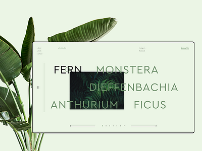 plant.studio // Main Page design green hover interface interfacedesign photo plant studio ui ui ux ui design uidesign uiux user interface ux ux ui ux design uxdesign uxui web design