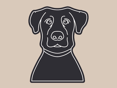 Finn adobe design dog illustration illustrator pet vector