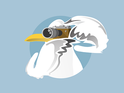 Brighton Folk - Seagull Illustrations design illustration vector