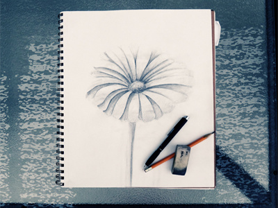 Flower Sketch flower pencil sketch