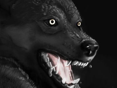 Bestial animal feral illustration wild wolf