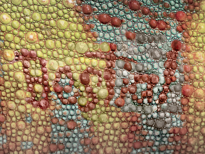Reptile Scales advertising animal branding creative dragon editing effect integrated retouch texture typography