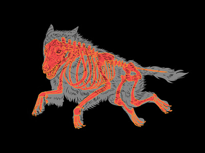 Lobo Mexa animal illustration design wolf