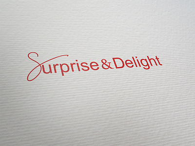 Surprise And Delight Logo debut logo