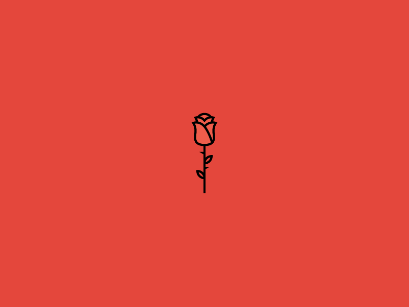Rose I by Olle Dahl on Dribbble
