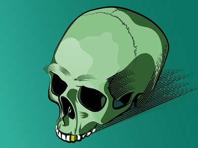 Skull illustration