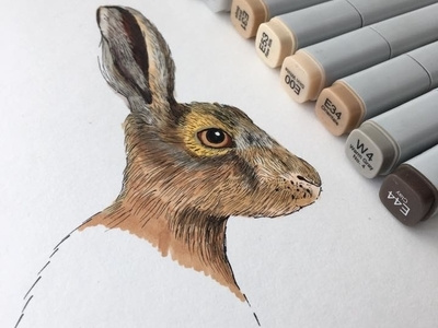 Work in Progress design illustration nadja wedin nature progress rabbit rabbits