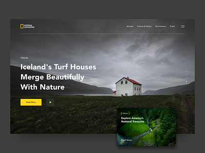 National Geographic Website Redesign