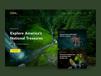 National Geographic Website Redesign animal book cuberto culture design history national geographic nature simple travel trip ui ux web webdesign website wild wildlife
