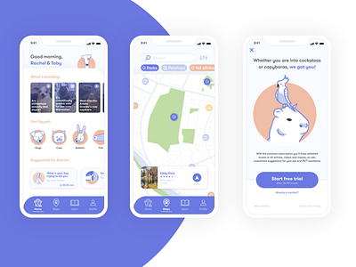 Pawow - pet app adobexd branding concept design designflows illustration interface palette pet pets ui ui ux ux vector