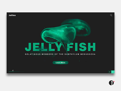 Jelly Fish Landing page blanding option dark green design graphic design green landing page landing page design photoshop user interface web design website