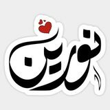 NOUREEN AFRIDI