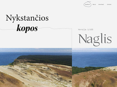 Typeface Naglis Website