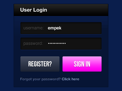 User Login buttons inputs login sign in widget wordpress