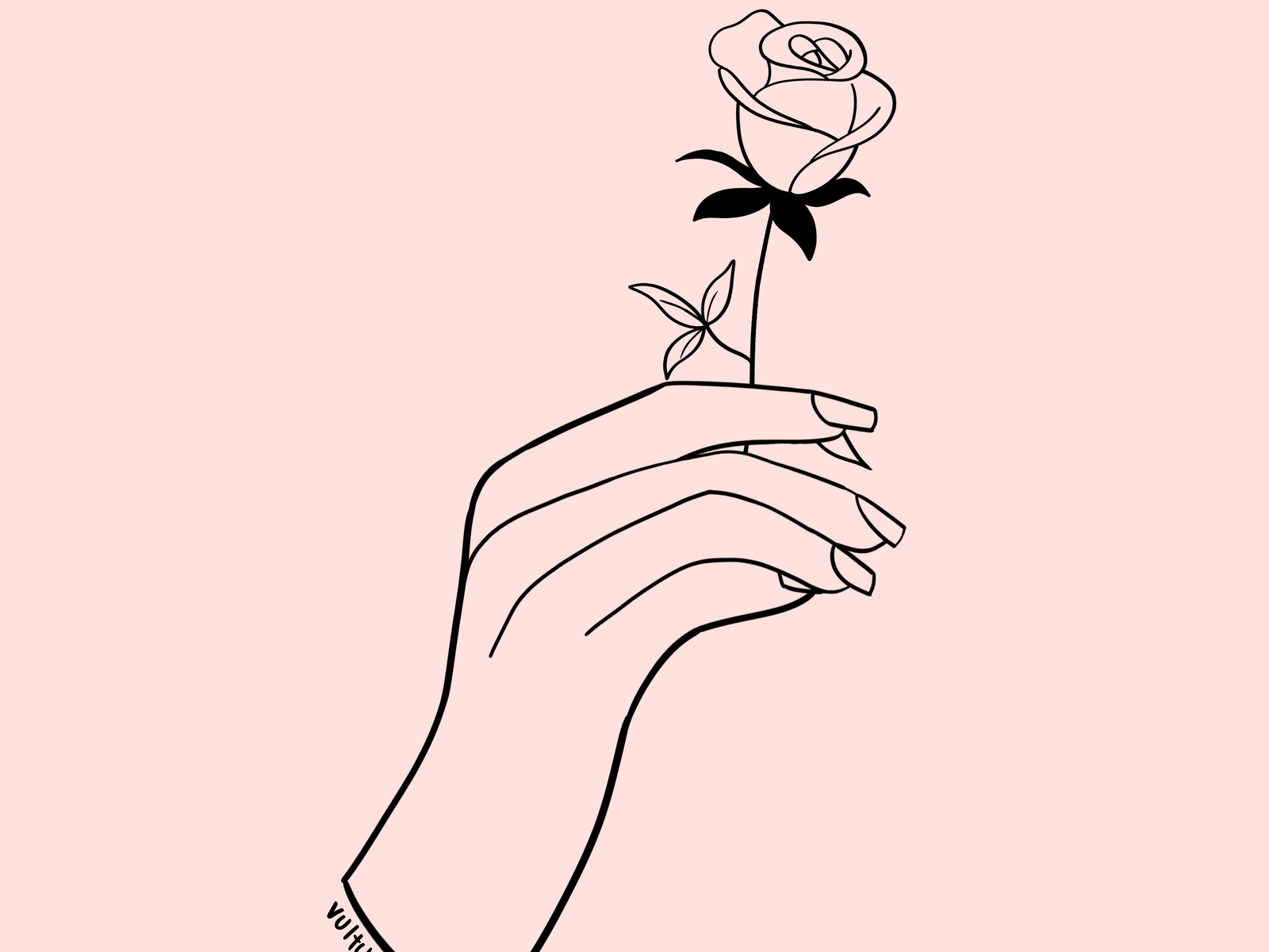 Rose Hands by Viktor on Dribbble