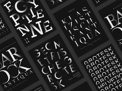 Typographic Poster Series baskerville black and white branding design didot flat futura helvetica minimal poster poster series rockwell type typedesign typeface typogaphy typography art vector