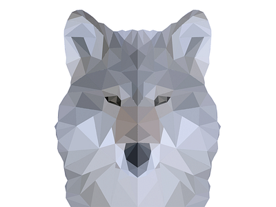 Wolf animal geometric graphic design photoshop portrait shapes symmetry wolf